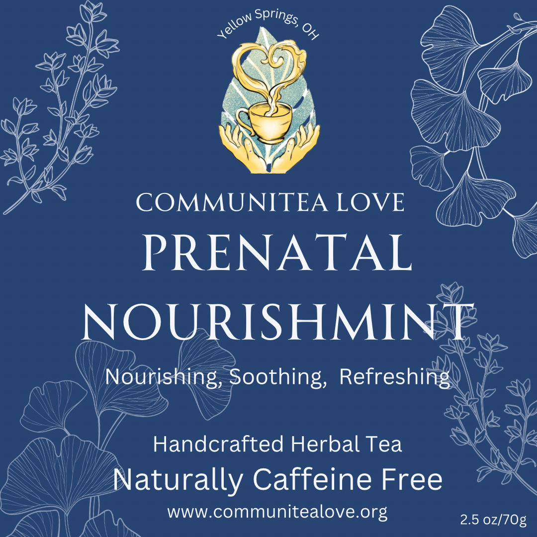 Prenatal NourishMINT